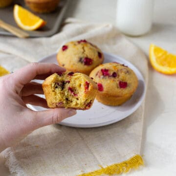 Two cranberry muffins on a white plate and a hand holding one muffin with a bite taken out of it.