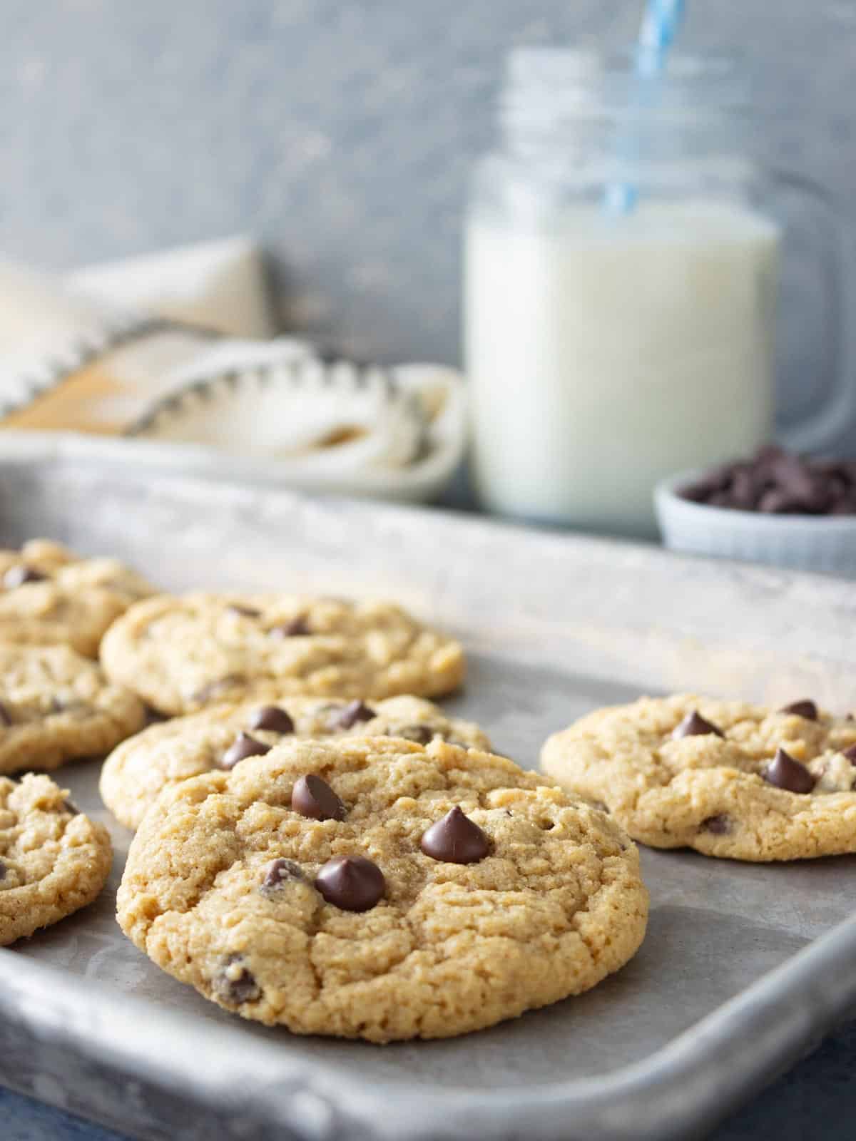 Whole wheat chocolate chip cookies on a tray with a glass of milk in the background.