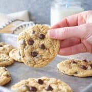 A hand picking up a chocolate chip cookie off a tray of cookies.