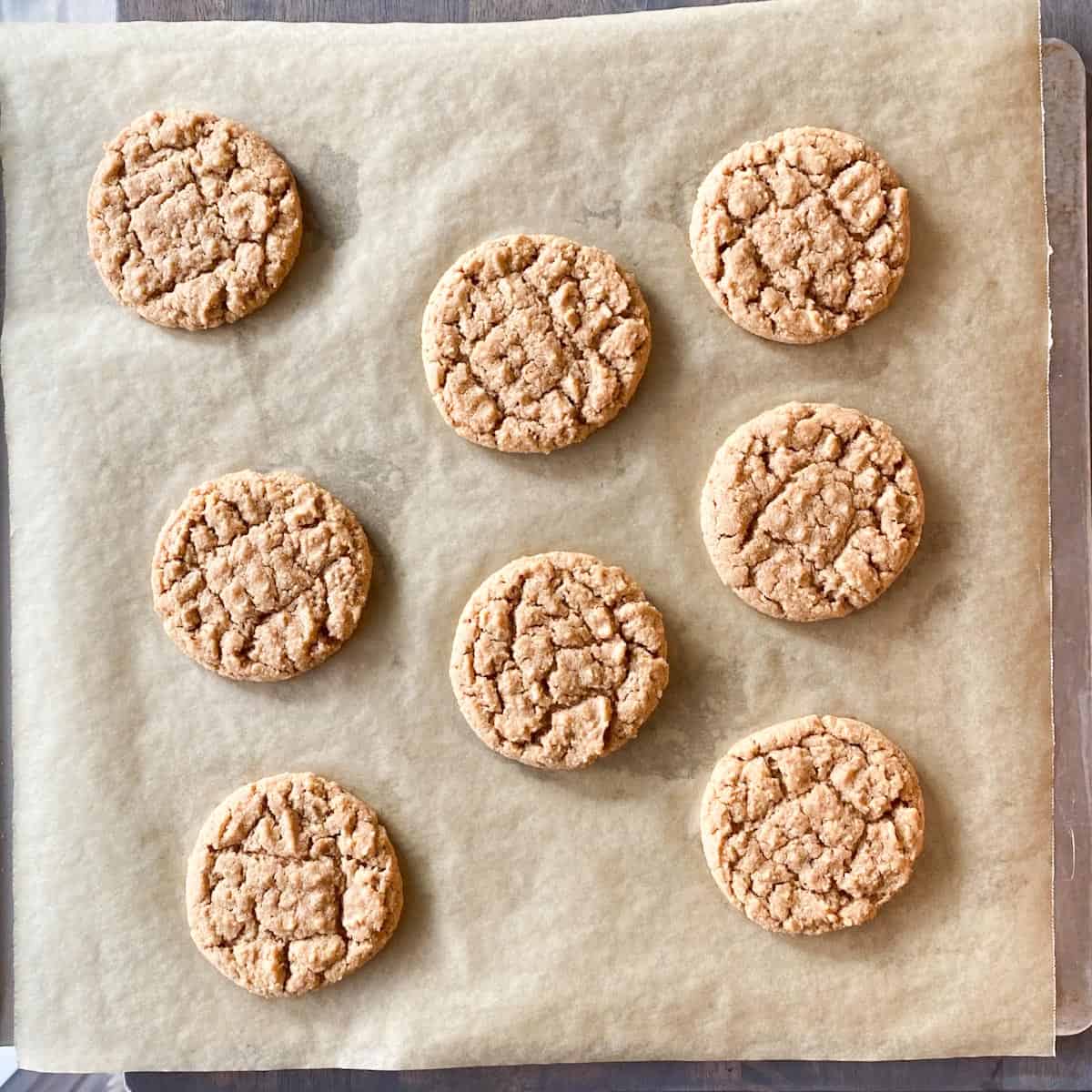 Baked peanut butter cookies on a tray.